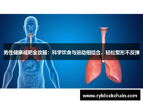 男性健康减肥全攻略:科学饮食与运动相结合,轻松塑形不反弹 男性健康减肥全攻略:科学饮食与运动相结合,轻松塑形不反弹
