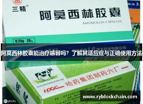 阿莫西林胶囊能治疗感冒吗?了解其适应症与正确使用方法 阿莫西林胶囊能治疗感冒吗?了解其适应症与正确使用方法